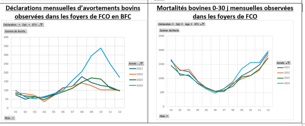 L’exposition aux deux virus (FCO3 et 8) sera à la fois précoce et intense dans notre Région. La FRGDS recommande fortement de vacciner contre les 2 sérotypes les animaux, ovins comme bovins, avant la reprise de l’activité vectorielle qui débutera au printemps.