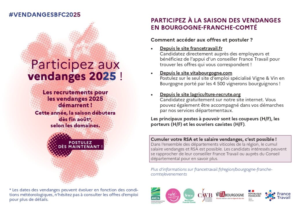 Comment participer aux vendanges en Bourgogne Franche-Comté ?