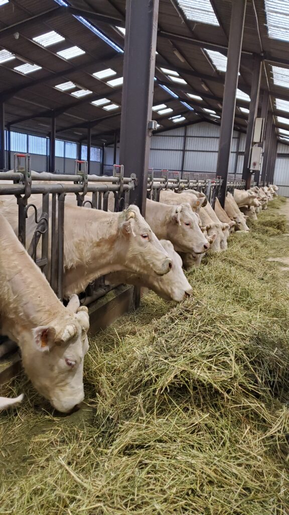 Rien nouveau sous le soleil,  les difficultés du FEADER BFC persistent et nécessitent d’informer les agriculteurs sur ce sujet 